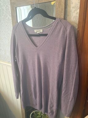Banana Republic Lavender V-Neck Women's Sweater